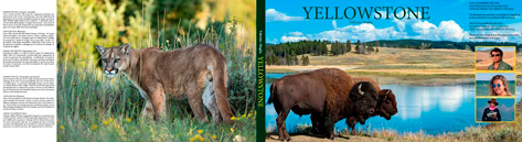 book_yellowstone_4