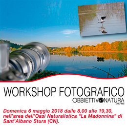 cuneo_workshop_1