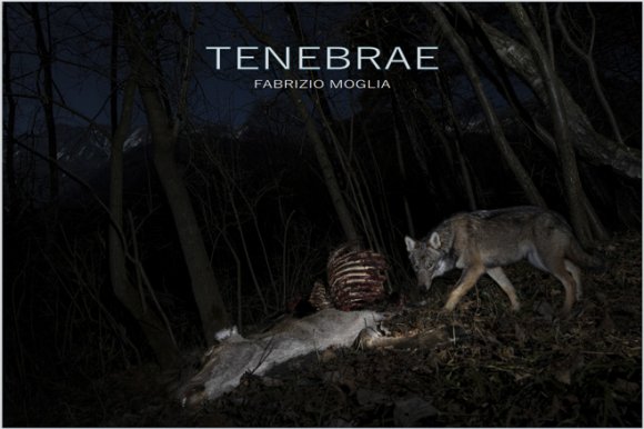 tenebrae002