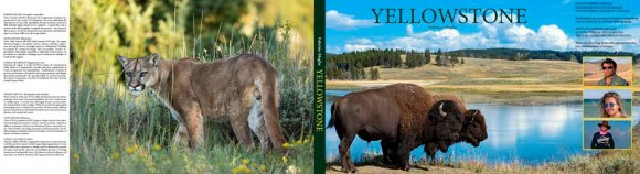 book_yellowstone_preview