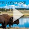 youtube_yellowstone