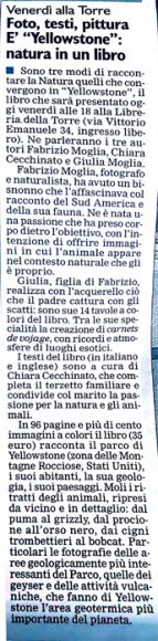 libreriatorre