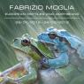 0000000Mosca_FabrizioMoglia_eng_2