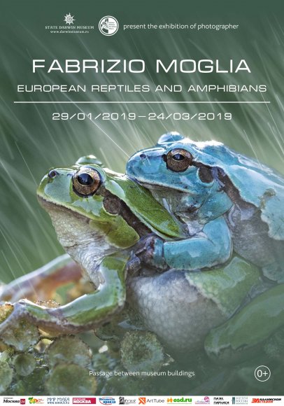 0000000Mosca_FabrizioMoglia_eng_2