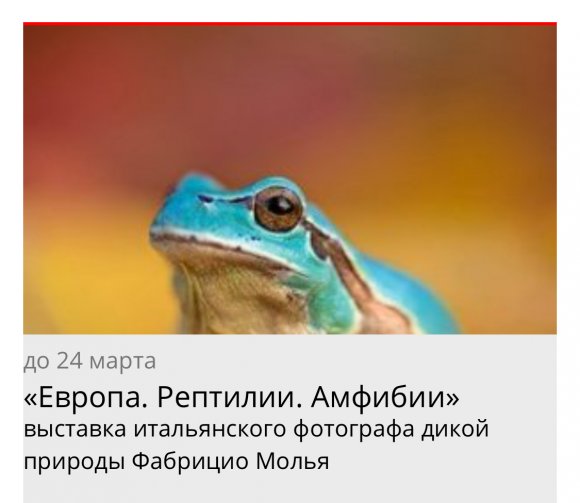 0000000_russia_3