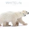 WHITELIFE-COPERTINA-altern3