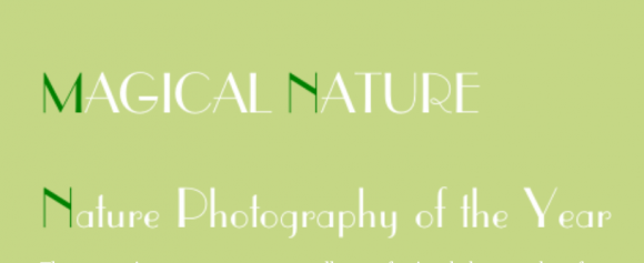 magical_nature