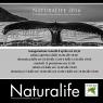 naturelife_invito