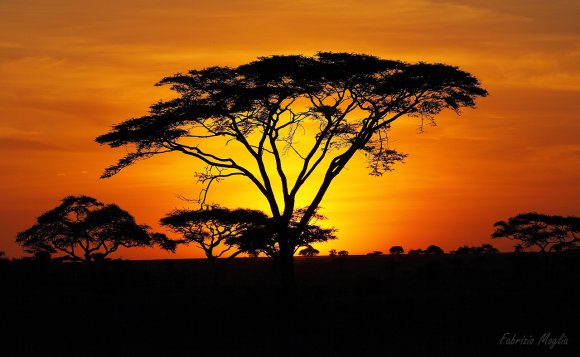 african-sunrise