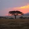 african-sunset