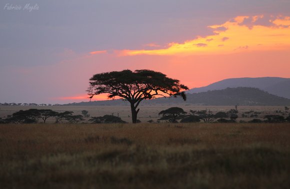 african-sunset