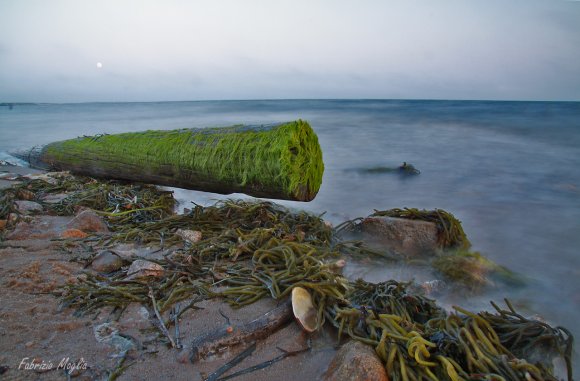 low-tide