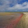 monomoy-low-tide