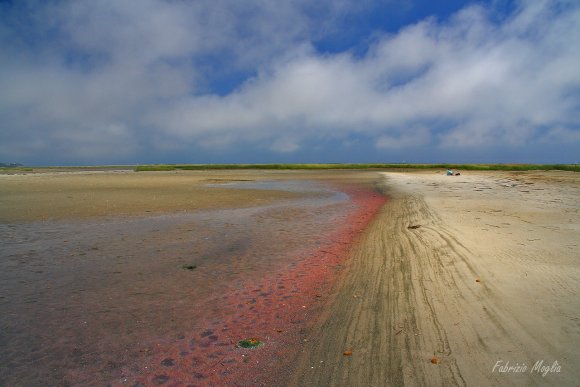 monomoy-low-tide