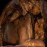 Geotritone del Supramonte - Supramonte cave salamander (Speleomantes supramontis)