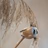 Basettino - Bearded Tit (Panurus biarmicus)