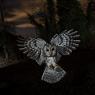 Allocco - Tawny owl