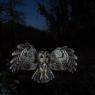 Allocco - Tawny owl